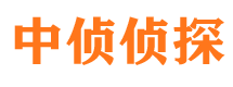 河东区出轨调查